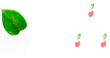 Krasnoe yabloko Krasnoe yabloko